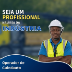 Certificado de Guindauto